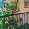 Отель B&B La Filanda, фото 14