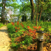 Отель Zoo Courtyard Hostel, фото 16