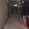 Отель Biway Fashion Hotel - Puyang Jianshe Road, фото 9