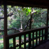 Отель Galaxy Jungle Huts, фото 5
