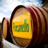 Отель Agriturismo Panzanello, фото 10