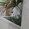 Отель Diar Al Yassamine-Hammamet Nord, фото 4