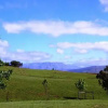 Отель Blackbrook Farm Underberg, фото 4