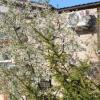 Отель Nikole apartamentai, фото 1