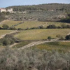 Отель Podere Montale, фото 9