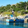 Отель cabanon écologique ile du levant, фото 6
