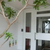 Отель C.J. Hostel, фото 6
