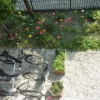 Отель Alberti Bed & Bike, фото 10