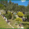 Отель Villa Pierina, фото 4