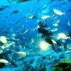 Отель Bellevue Gozo, фото 17