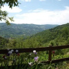 Отель La Collina degli Scoiattoli, фото 8
