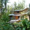 Отель Clayoquot Cedar House, фото 6