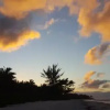 Отель Tifaifai Et Café Huahine, фото 8
