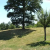 Отель Agriturismo Fienile del Canalone, фото 6