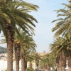 Отель Diocletian Palace Suites, фото 6