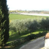 Отель Affittacamere La Palazzina, фото 7