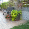 Отель Wei Ya Garden B&B, фото 9