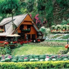 Отель Krisdadoi Chiang Mai Aprime Resort, фото 7