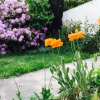 Отель Candy and Samuel house, фото 6