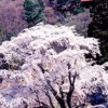 Отель Shichimionsenhotel Keizantei, фото 10