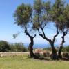 Отель Villa Lucia, фото 9
