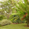 Отель Condominium Villas Venado, фото 6