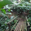 Отель El Jardín de los Colibríes - Pereira, Risaralda, фото 4