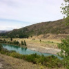 Отель Lavender Drive Bed & Breakfast, фото 4