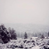 Отель Evergreen Getaway, фото 12