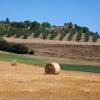 Отель Agriturismo Podere Olivello-Montalcino в Сан-Джованни-д'Ассо