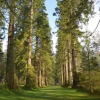Отель Ash Lodge, фото 1