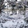 Отель Cradle Mountain Love Shack, фото 7