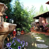 Отель Kotcha in the Village, фото 4