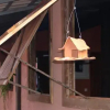 Отель Tiô Isolda Artes & Hospedaria, фото 10
