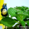 Отель Zhuhai Journey House Hostel, фото 1