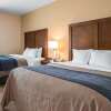 Отель Comfort Inn Apalachin, фото 4