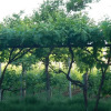 Отель Agriturismo SantAndrea, фото 17