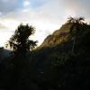 Отель Brilliant View Home Stay, фото 8