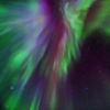 Отель Aurora Glamping By The Whales, фото 5