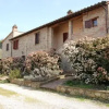 Отель Agriturismo Fornace - Il Pino -, фото 1