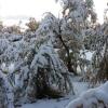 Отель Estancia Los Morros, фото 2