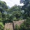 Отель Laozhaishan Inn, фото 4