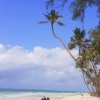 Отель African Dream Cottages - Diani Beach, фото 10