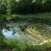 Отель Casina Di Cornia, фото 7