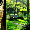 Отель Casa Bromélia Green, фото 1