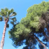 Отель Villas Cristina, фото 1
