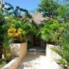 Отель Stay in Tulum!, фото 1