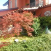 Отель Villa Palmira, фото 8