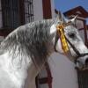 Отель Casa Rural la Carreña, фото 12