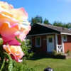 Отель Hälluddens Stugby och Vandrarhem, фото 9